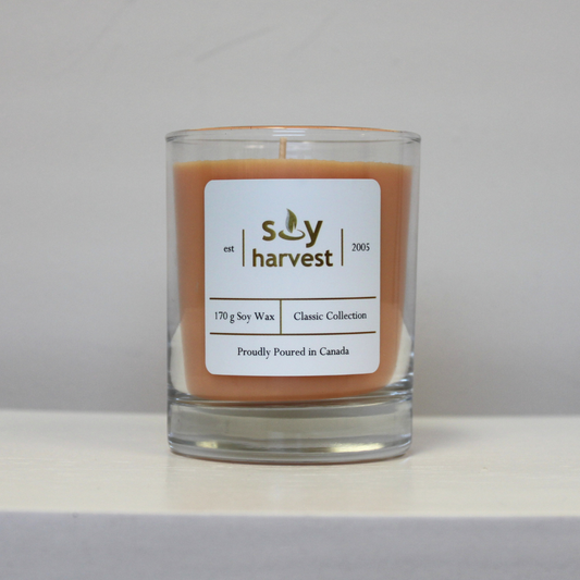 fruit slices soy candle cotton wick