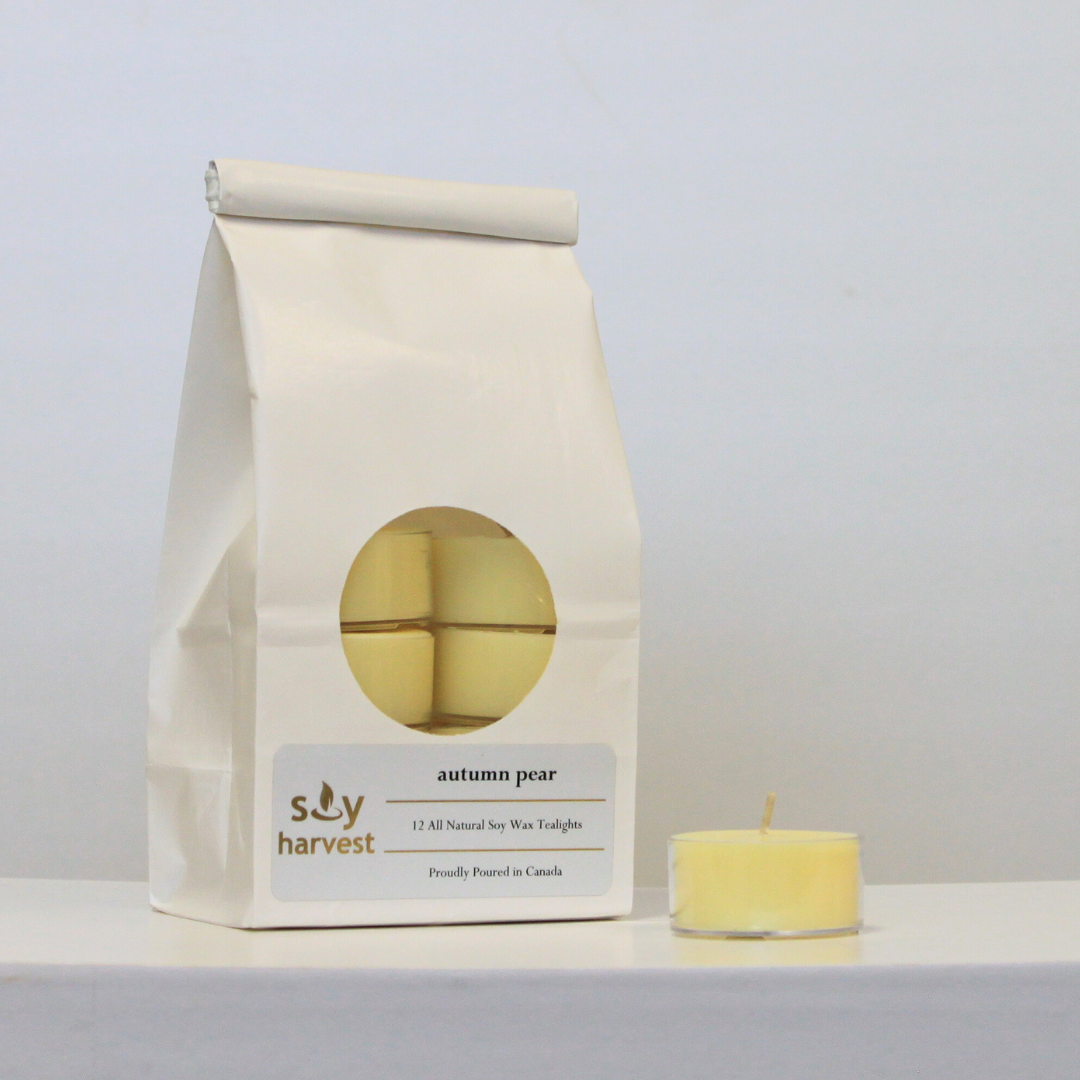 autumn pear scented soy tealight candle cotton wick