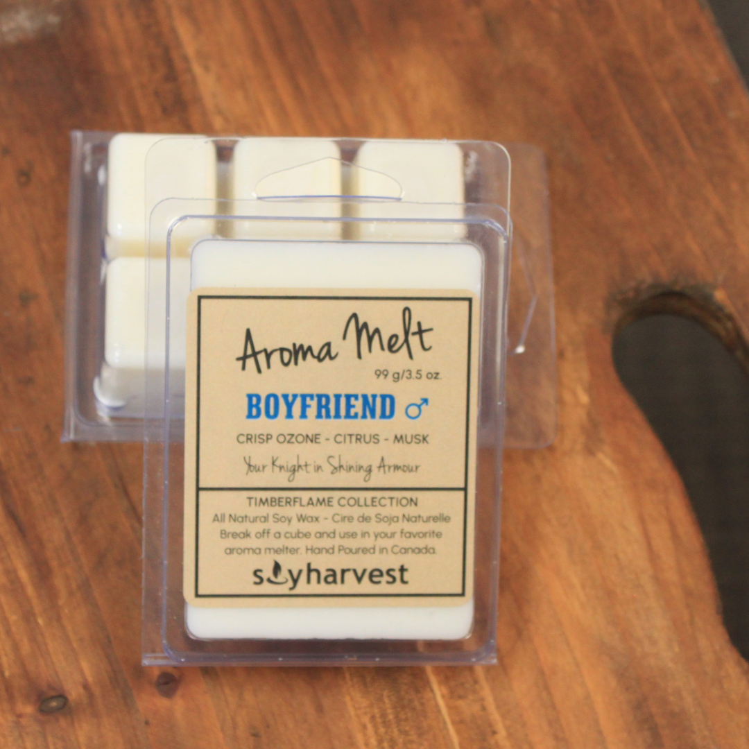 boyfriend scented soy aroma