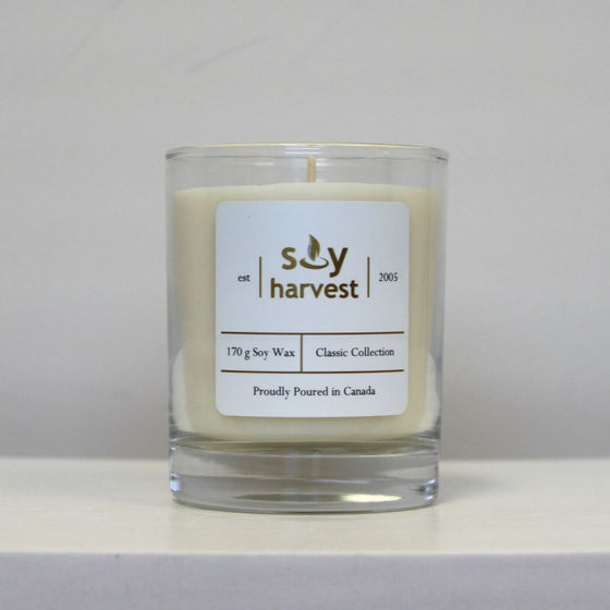 White Tea & Ginger - Candle