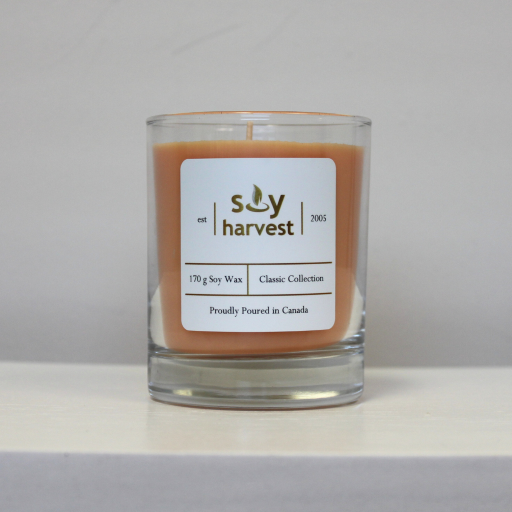 Fruit Slices - Candle