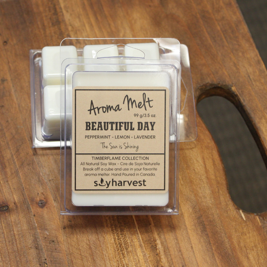beautiful day scented soy aroma melt