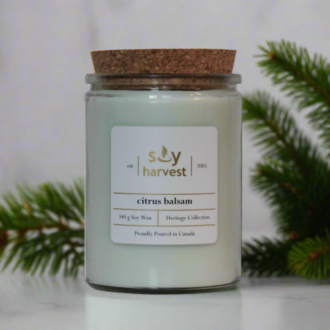 citrus balsam soy candle cotton wick