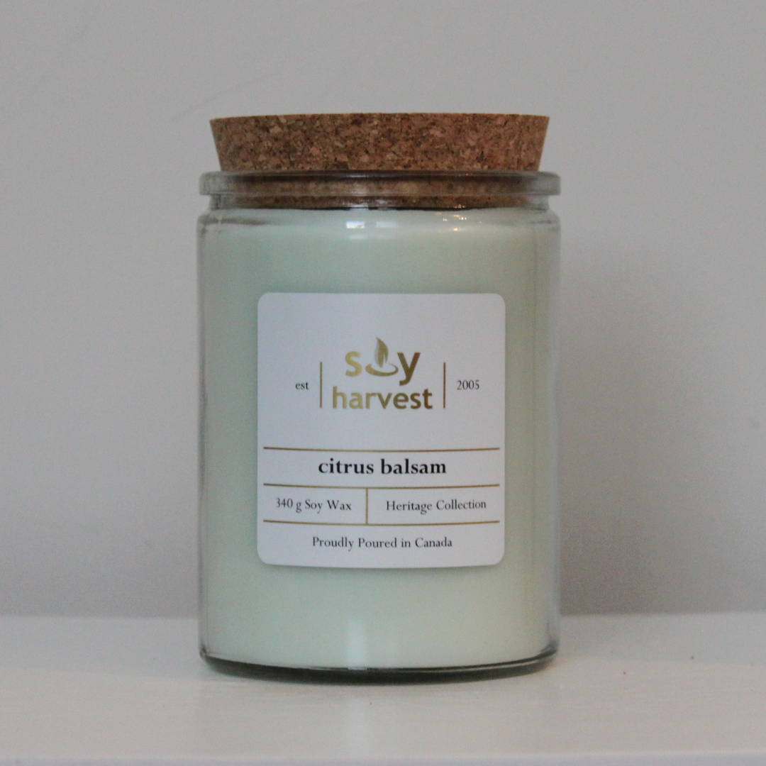 citrus balsam soy candle cotton wick