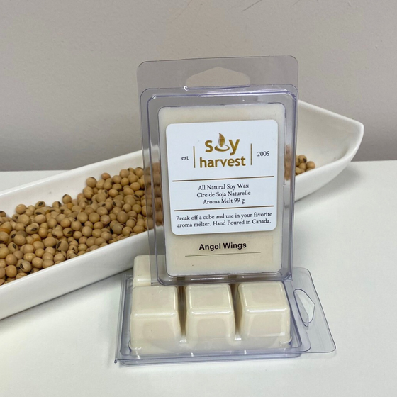 Angel Wings Wax Melt