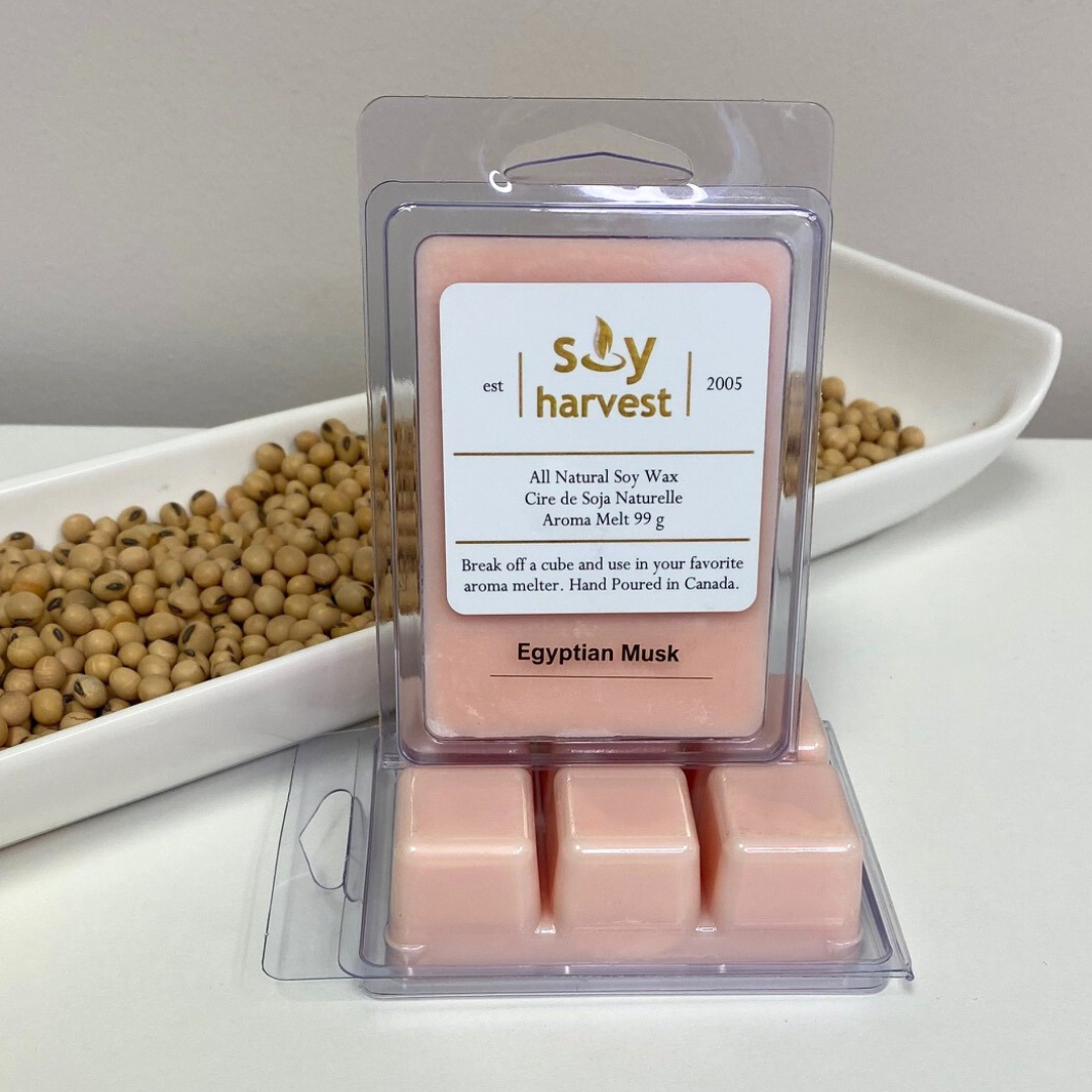 egyptian musk soy aroma melt