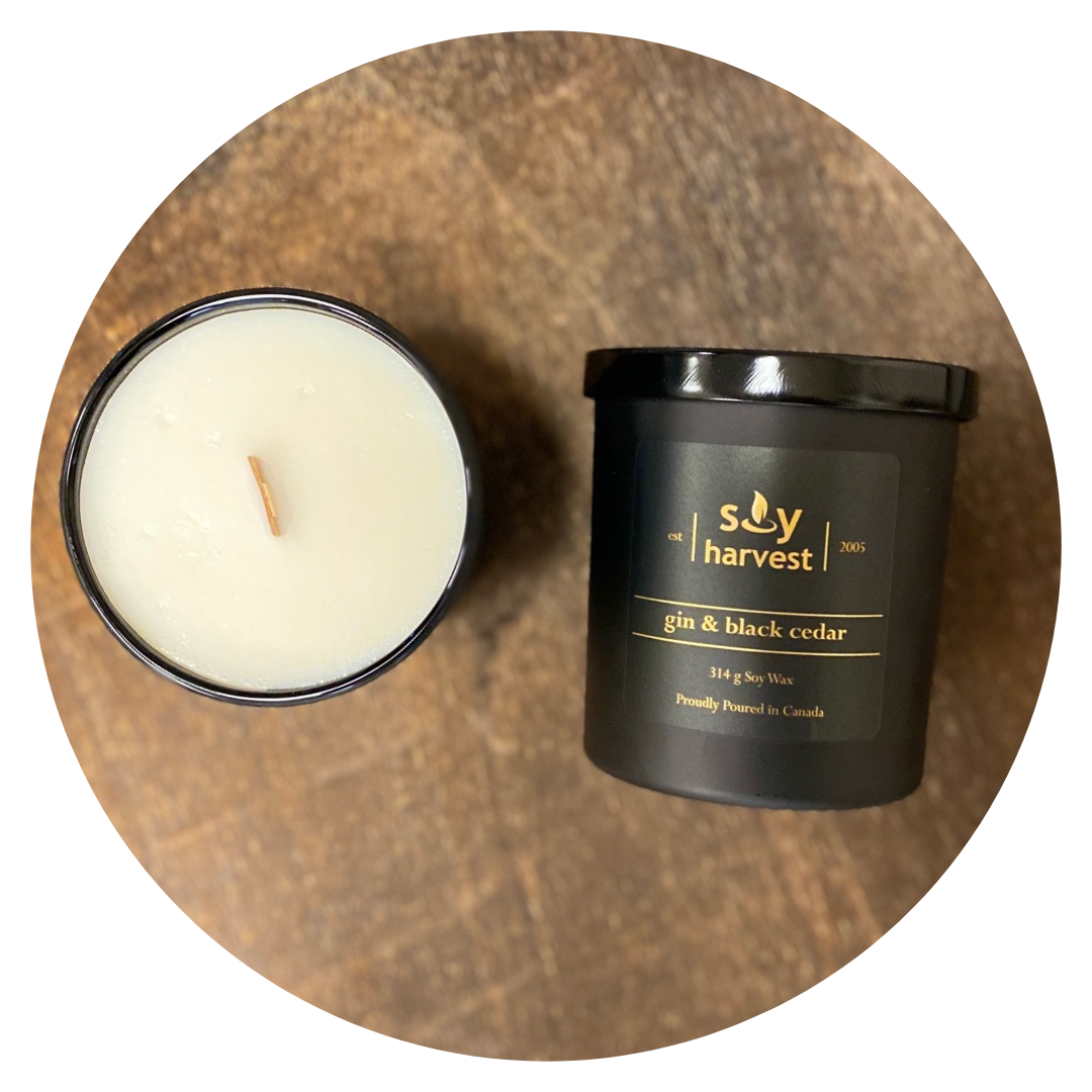 gin black cedar soy candle cotton wick