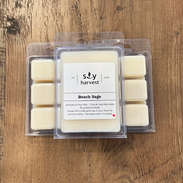 beach sage white wax melt sitting on a brown table.