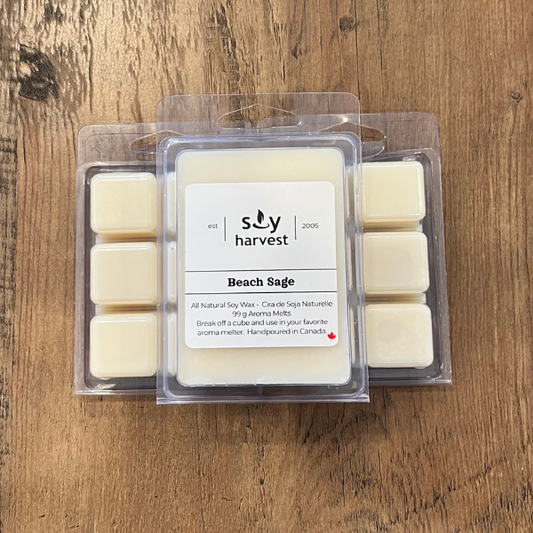 beach sage white wax melt sitting on a brown table.