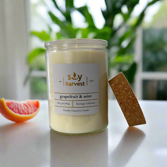 Soy Harvest candle with grapefruit and mint scent on a white background