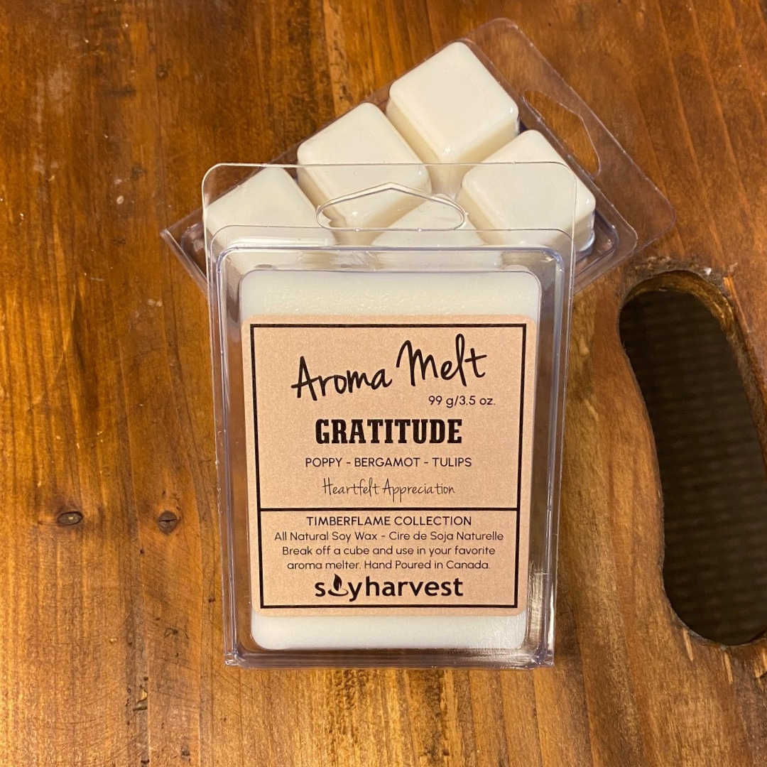 gratitude wax melt - 6 cubes for melter