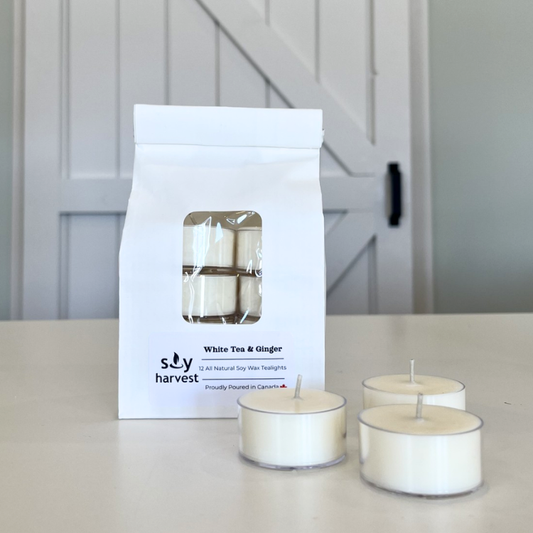 Soy Harvest white tea & ginger candles with packaging on a neutral background