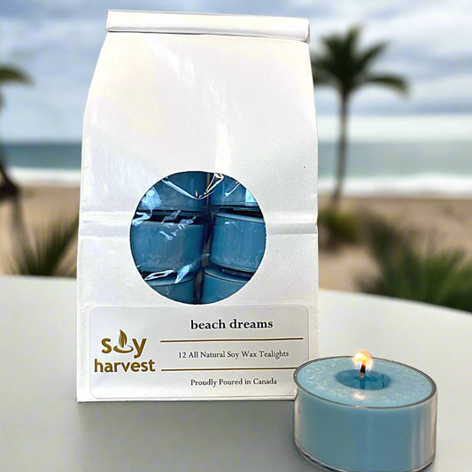 beach dreams scented soy tealight candle cotton wick
