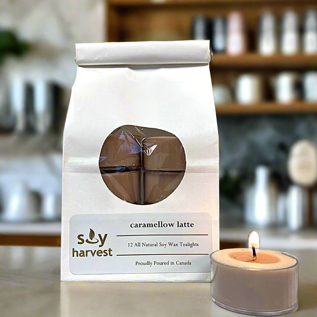 caramellow latte soy tealight candle cotton wick