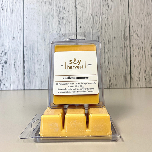 endless summer soy aroma melt