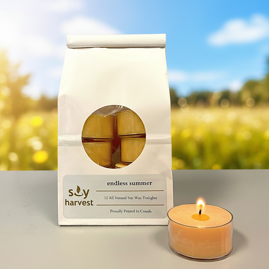 endless summer soy tealight candle